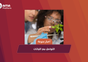 التواصل مع النباتات